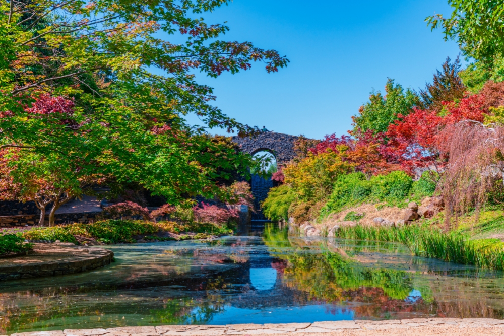 Colourful autumn garden with pond and stone bridge